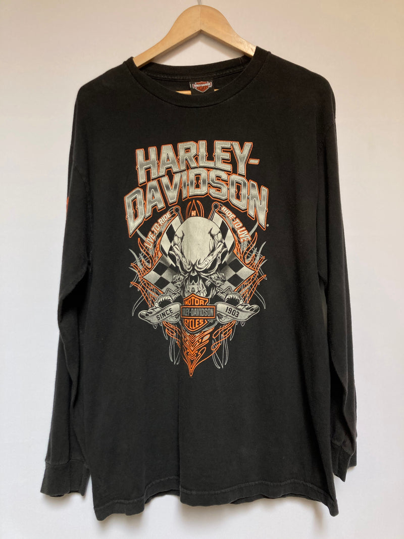 Smokey Mountain Harley
