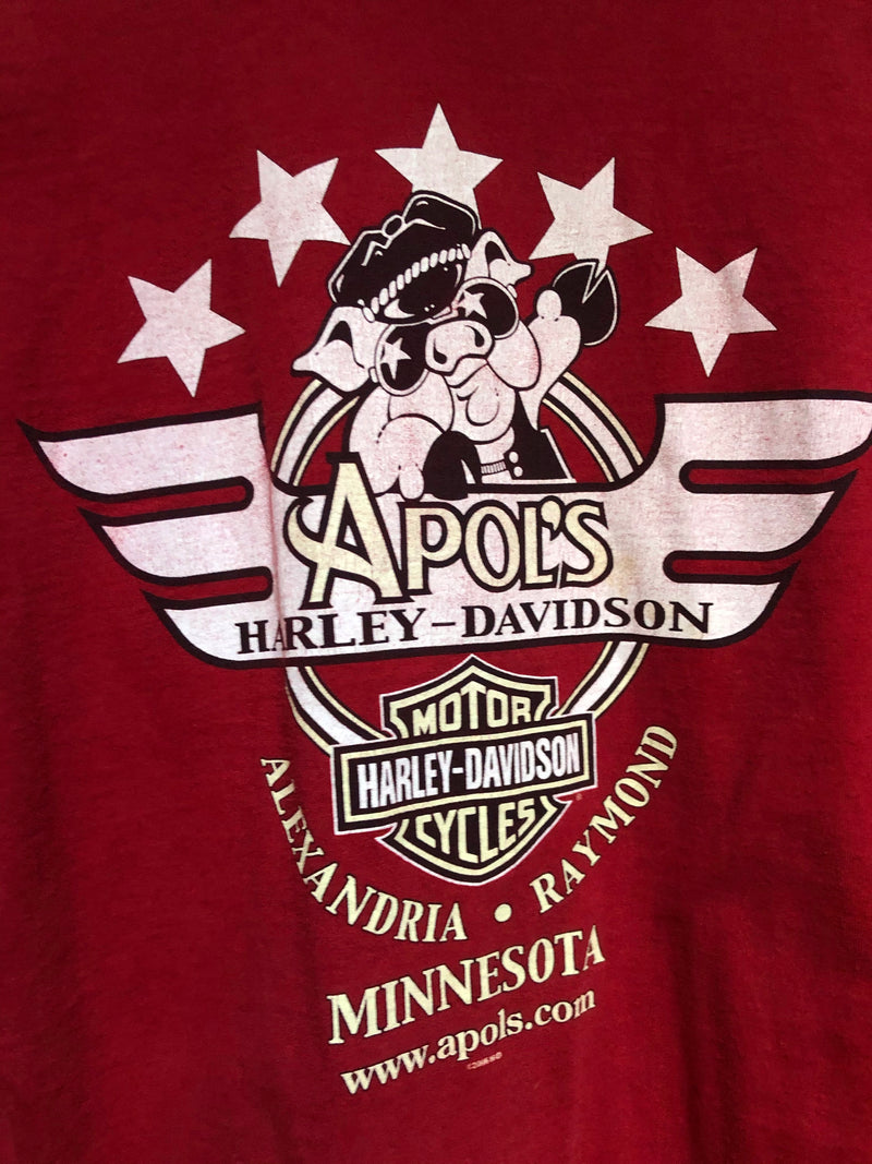 Apol's Minnesota Harley