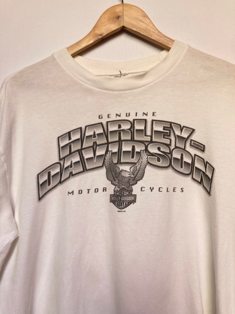 Biker Bob’s Harley
