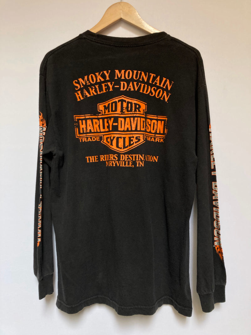 Smokey Mountain Harley