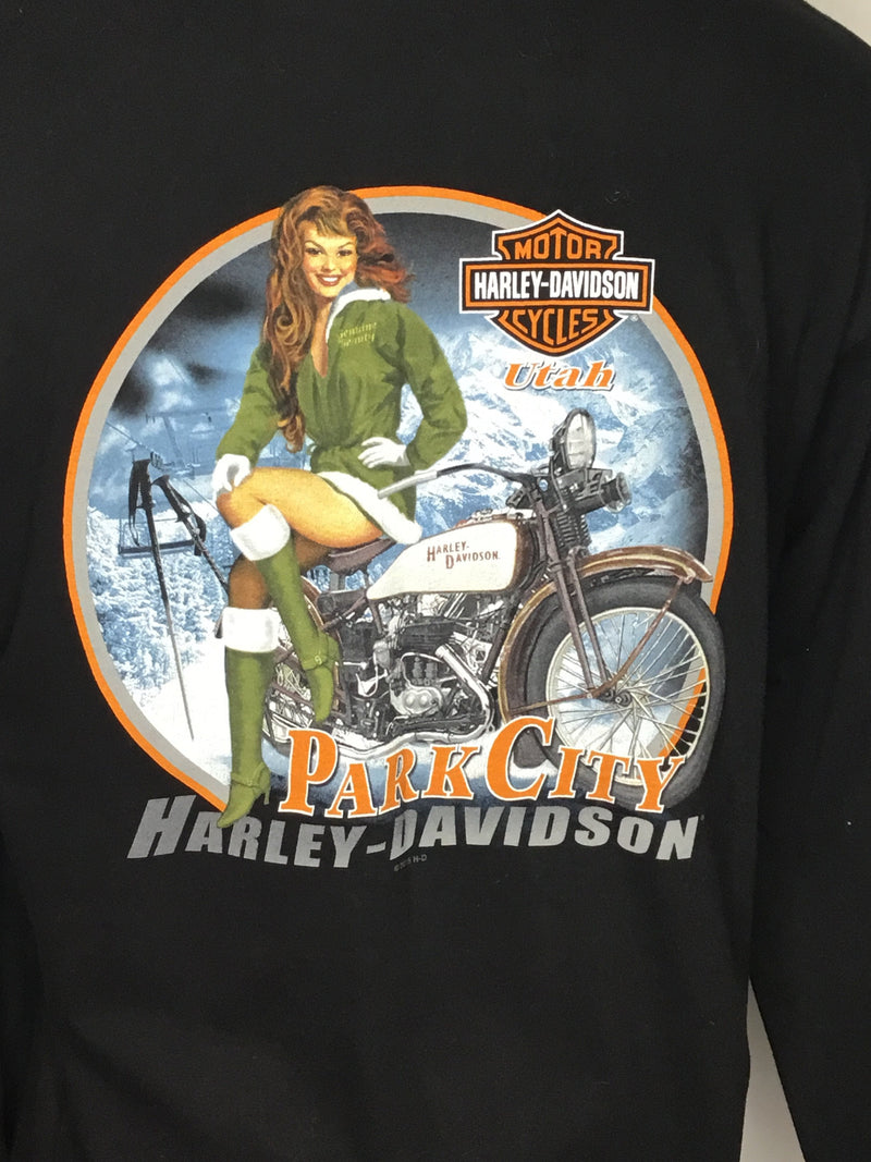 Skeleton Harley
