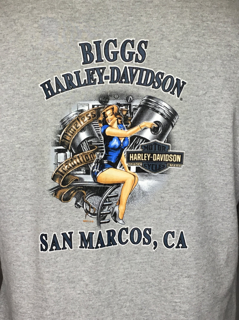 San Marcos Harley - AS IS - marks