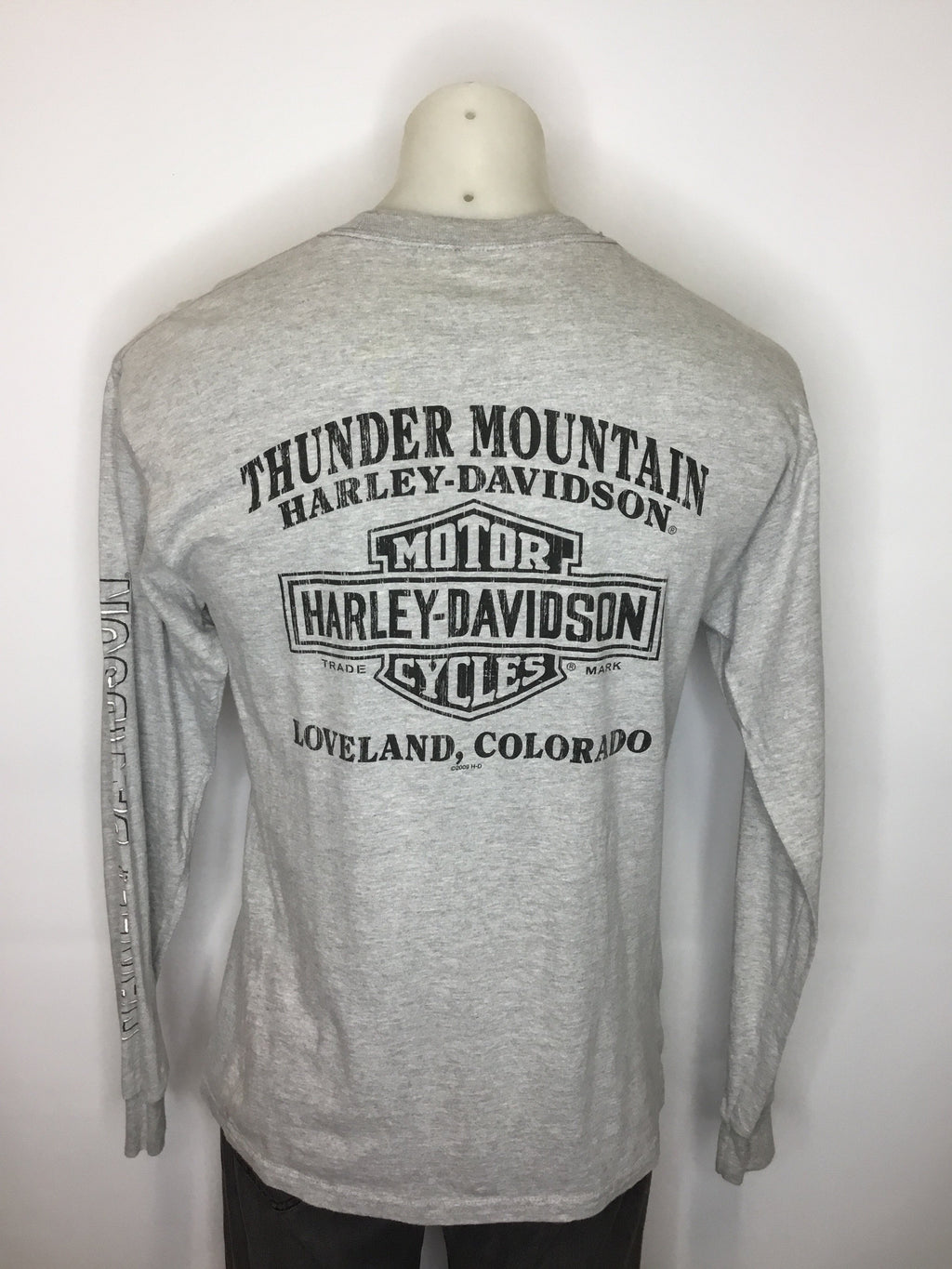 Thunder Mountain Harley